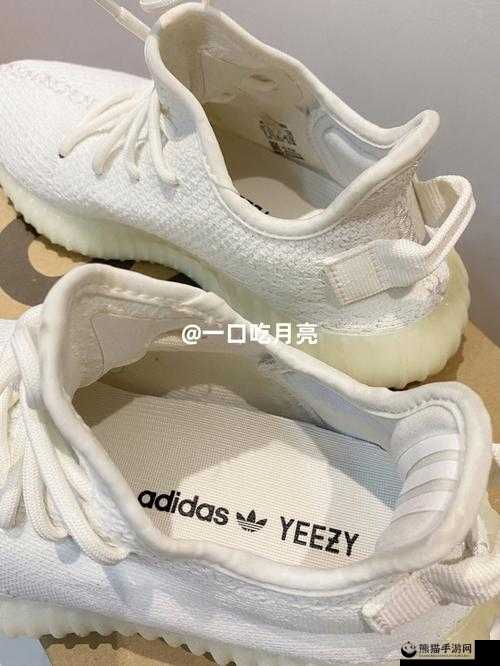 亚洲 yeezy 官网网站：官方正品，潮流尖货聚集地